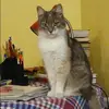 Отзыв от Инга Новикова